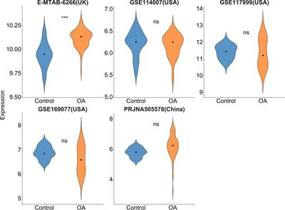 Association between fat mass and obesity-related variant and osteoarthritis risk: Integrated meta-analysis with bioinformatics